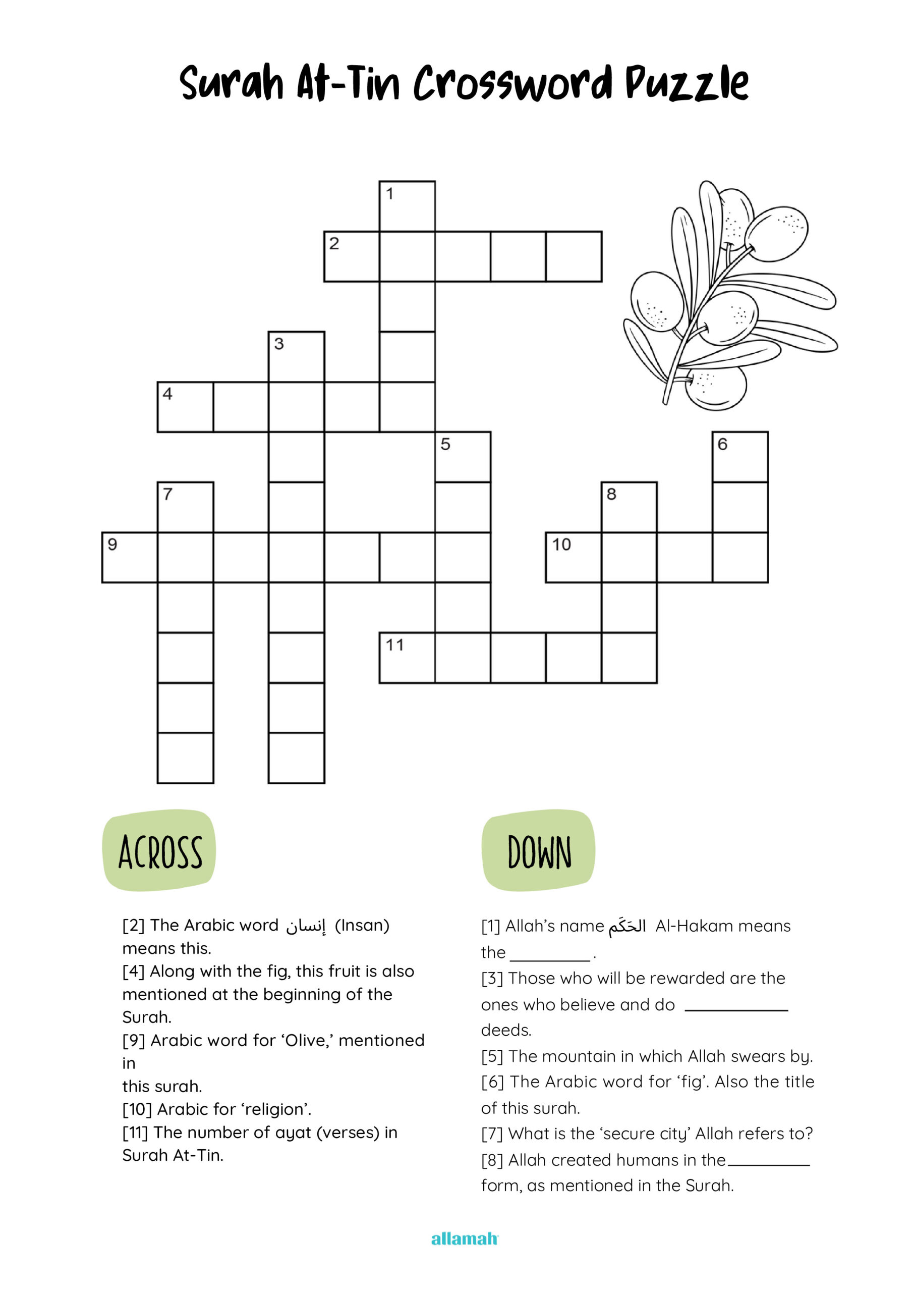 preview-product-2113